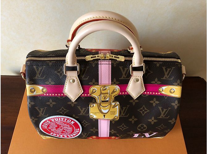 Speedy Louis Vuitton Correa de hombro rápida 30 Multicolor - vista 6