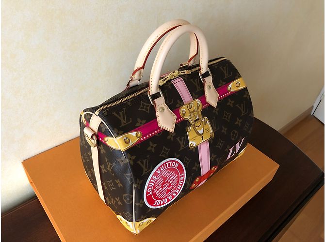 Speedy Louis Vuitton Correa de hombro rápida 30 Multicolor - vista 8