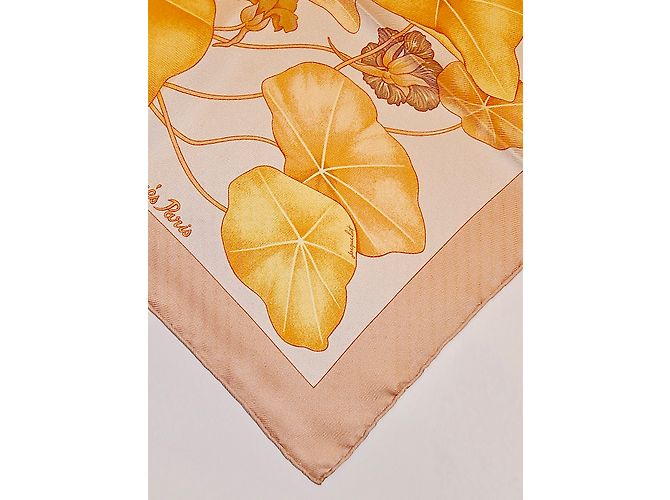Hermès Les CAPUCINES Multicor - vista 10