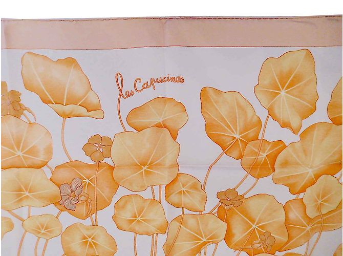 Hermès Les CAPUCINES Multicor - vista 2