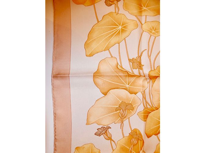 Hermès Les CAPUCINES Multicor - vista 5