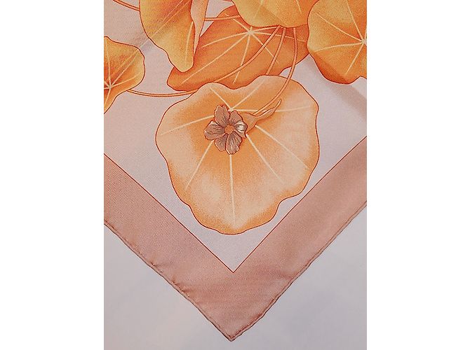 Hermès Les CAPUCINES Multicor - vista 8