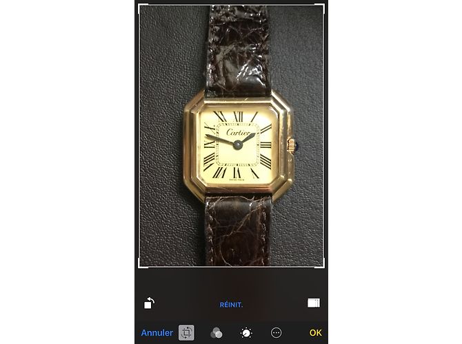 Cartier cintura - vista 10