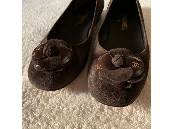 Chanel Ballerine Marrone scuro - vista 4