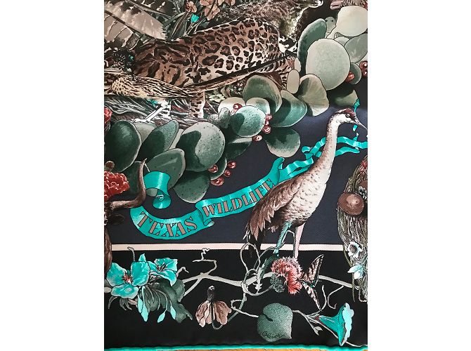 Hermès Sciarpa Hermes 70 cm Vintage Silk Fauna e Flora del Texas Multicolore - vista 3