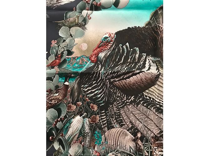 Hermès Sciarpa Hermes 70 cm Vintage Silk Fauna e Flora del Texas Multicolore - vista 5