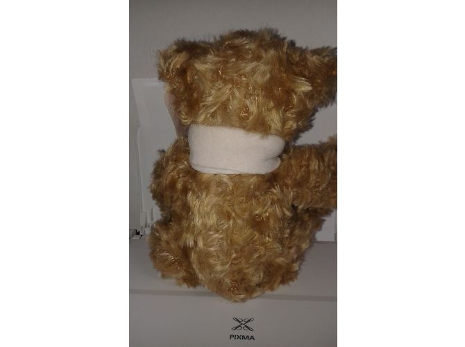 Bellissimo peluche Burberry con sciarpa - vista 3