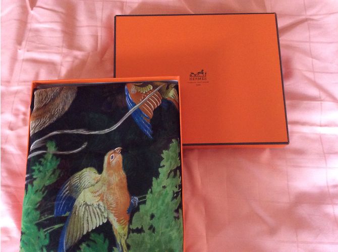 “Hermès ‘Equateur’ Châle mousseline de soie” Multicolore - vista 5