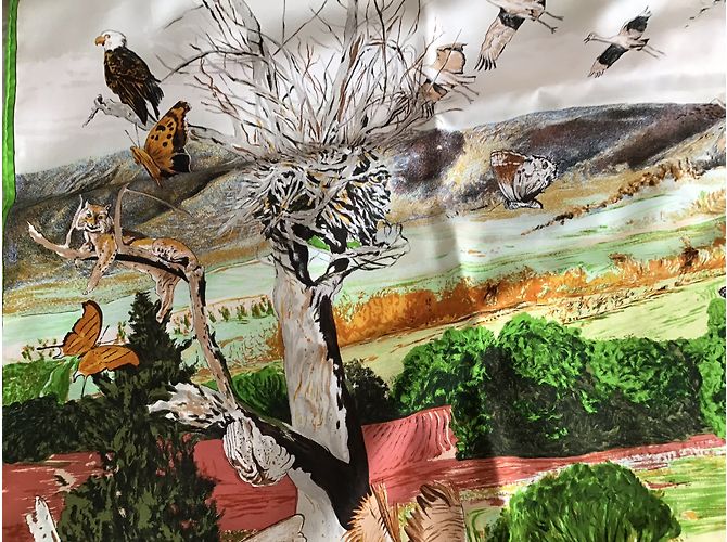 Hermès "jardin d'éden ou "naturalia" Multicolore - vista 4