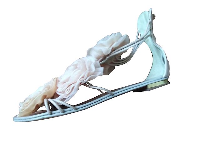 Giuseppe Zanotti fiori - vista 2
