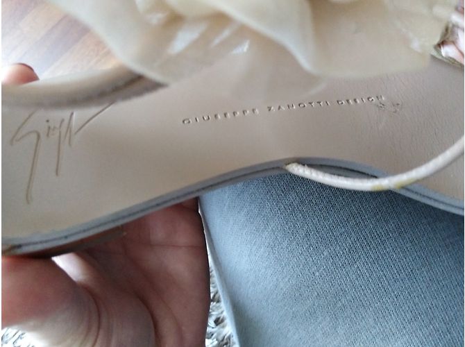 Giuseppe Zanotti fiori - vista 4