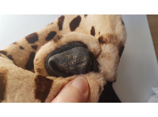 Chanel Luvas Preto Estampa de leopardo - vista 7