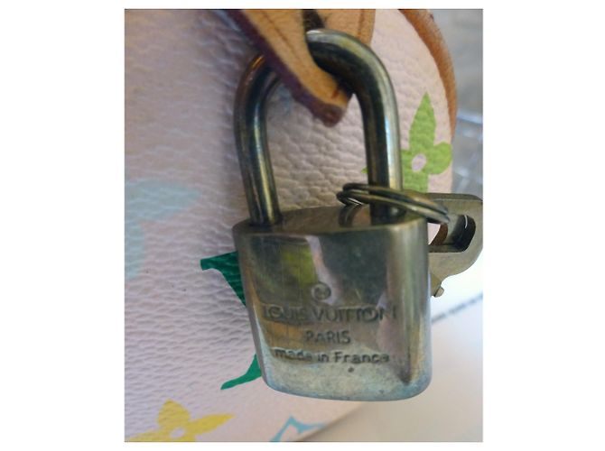 Louis Vuitton Takashi Murakami Mini Speedy Bag Multicolore - vista 5