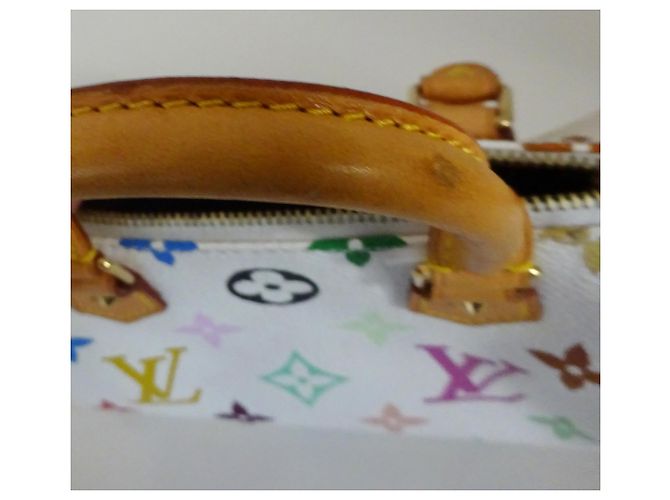 Louis Vuitton Takashi Murakami Mini Speedy Bag Multicolore - vista 7