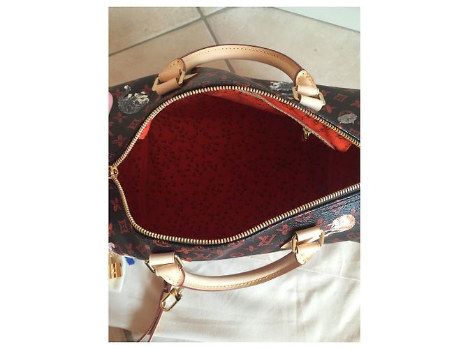 Speedy Louis Vuitton Correa de hombro rápida Multicolor - vista 3