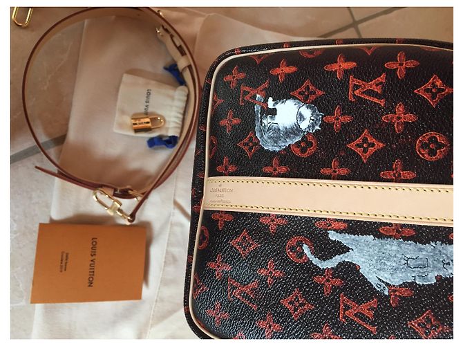 Speedy Louis Vuitton Correa de hombro rápida Multicolor - vista 5
