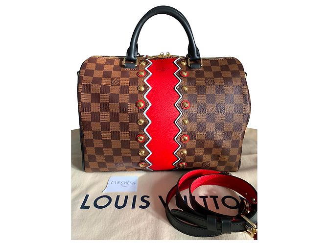 Speedy Sac Louis Vuitton veloce 30 Collezione Karakoram Marrone - vista 2