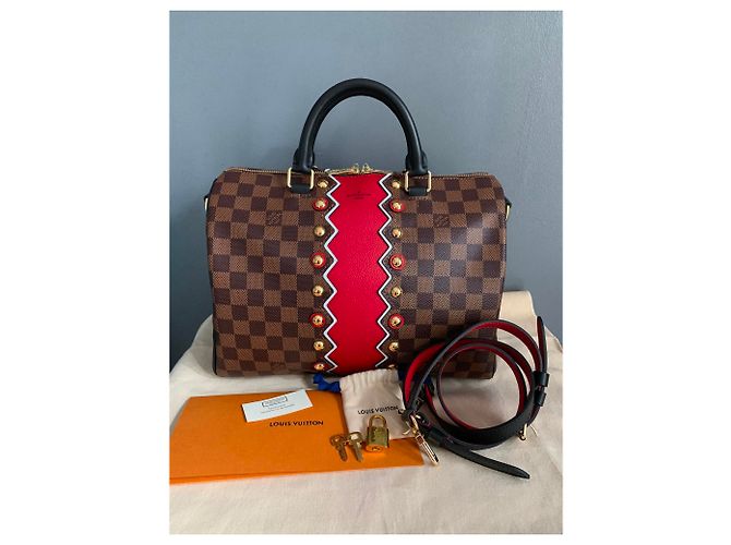 Speedy Sac Louis Vuitton veloce 30 Collezione Karakoram Marrone - vista 5