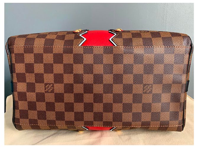 Speedy Sac Louis Vuitton veloce 30 Collezione Karakoram Marrone - vista 6