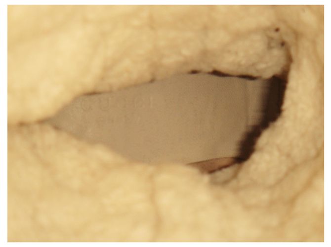 Botas Gucci em ovelhas devolvidas (Shearling) - vista 3