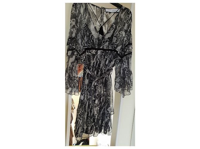Iro Clash Kleid Zebra Print Viskose Zebra-druck - Ansicht 15