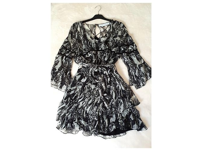 Iro Clash Kleid Zebra Print Viskose Zebra-druck - Ansicht 2