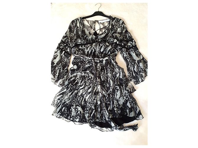 Iro Clash Kleid Zebra Print Viskose Zebra-druck - Ansicht 3