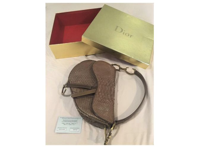 Saddle Christian Dior Sacoche Dior Snakeskin - vue 3