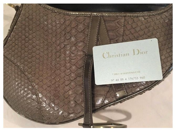 Saddle Christian Dior Sacoche Dior Snakeskin - vue 7