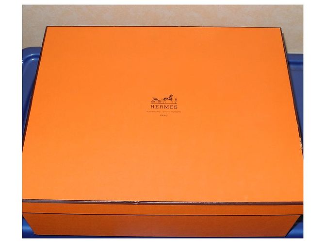 Hermès Hermes blaues Schwammbadetuch mit wunderschönem Schwanendekor Weiß - Ansicht 6