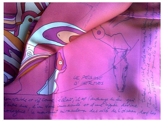 Hermès Pégaso Multicor - vista 2
