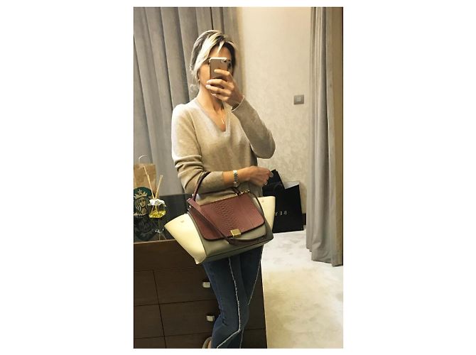 Céline Trapeze Python Ledertasche mehrfarbig Mehrfarben - Ansicht 14