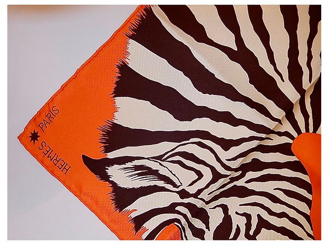 Hermès ZEBRA PEGASUS Mehrfarben - Ansicht 4