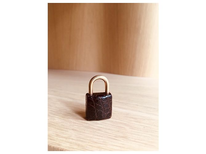 Hermès Hermos Porosus Krokodilschloss und Glocke für Birkin oder Kelly Dunkelbraun - Ansicht 3