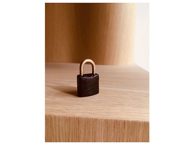 Hermès Hermos Porosus Krokodilschloss und Glocke für Birkin oder Kelly Dunkelbraun - Ansicht 4