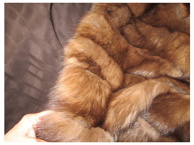 Autre Marque ZIBELINE RUSSE BARGUSIN RUSSIANSABLE SOBOL Castaño - vista 7