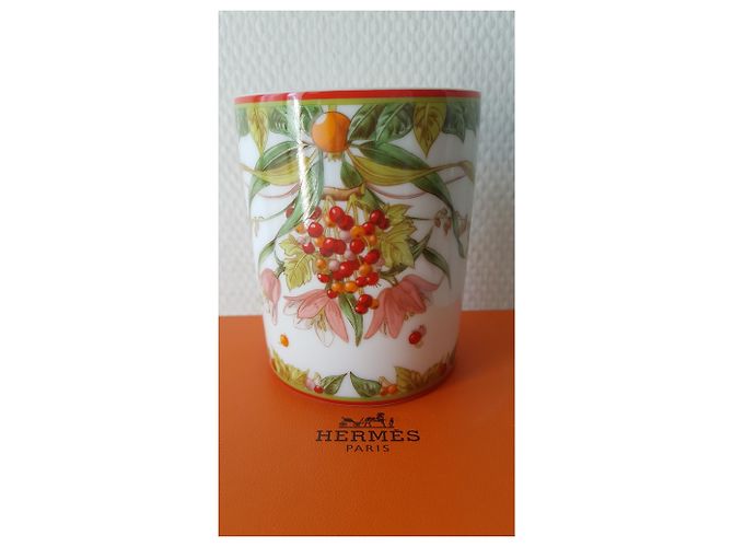 Hermès DER PYTHAGORE-GARTEN Mehrfarben - Ansicht 12