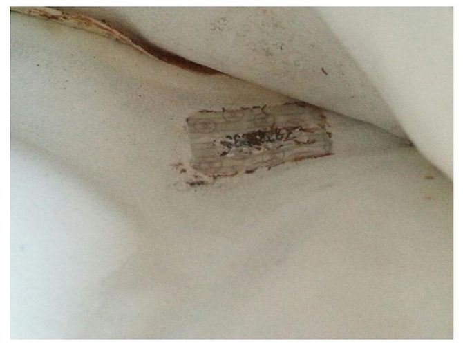 Chanel Bananetasche Leder Eggshell Aus weiß - Ansicht 3