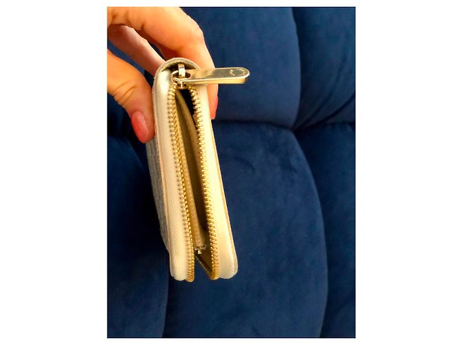 Borsa Louis Vuitton con cerniera e portafoglio Borsa Carrera Beige Grigio - vista 9
