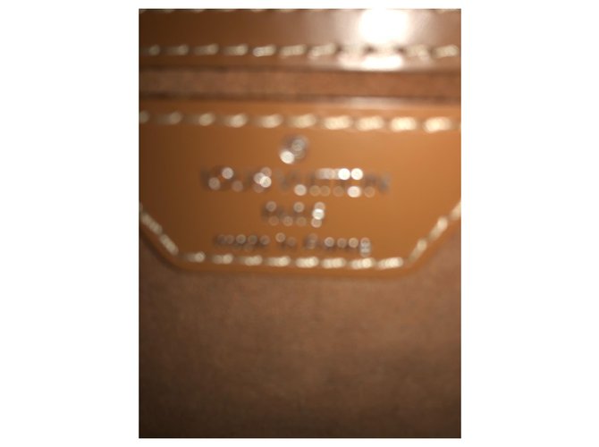 Louis Vuitton Borse Caramello - vista 6