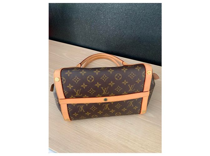 Louis Vuitton Swamp Bag MM Monogram Marrone - vista 5