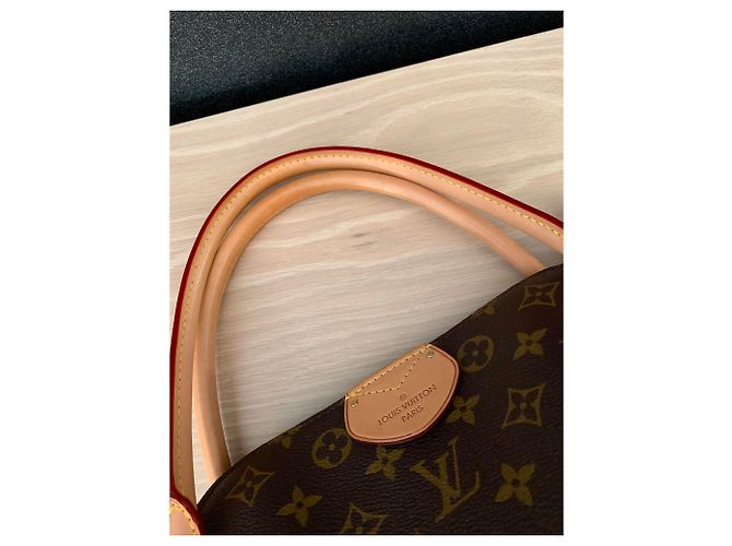 Louis Vuitton Swamp Bag MM Monogram Marrone - vista 8