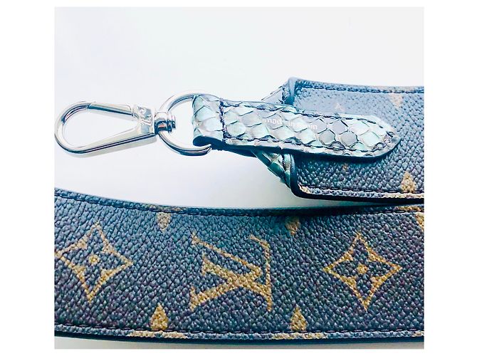 Louis Vuitton Alça de Ombro Vuitton Python Marrom Verde claro - vista 4