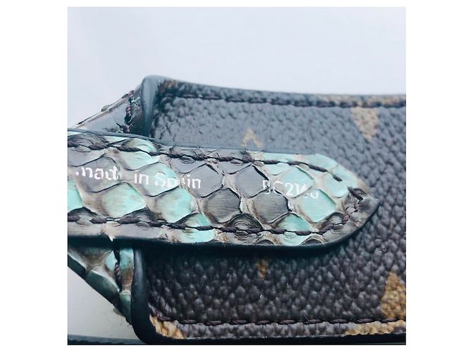 Louis Vuitton Alça de Ombro Vuitton Python Marrom Verde claro - vista 5