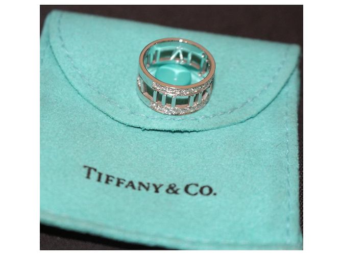 Tiffany & Co Atlas - vista 2