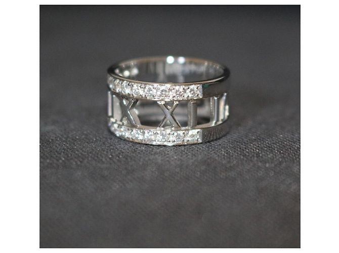 Tiffany & Co Atlas - vista 3