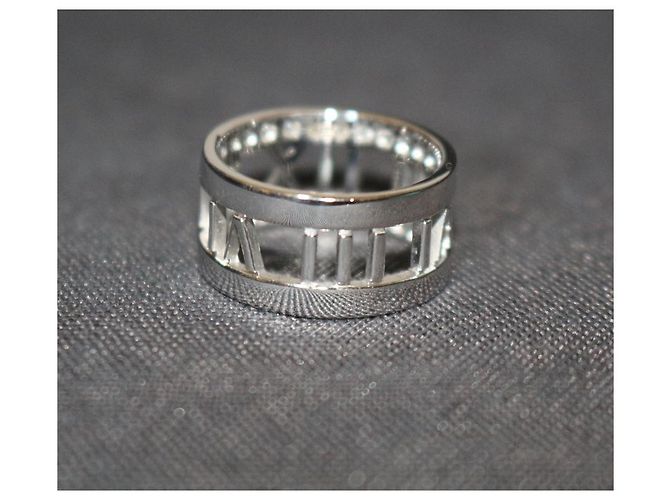Tiffany & Co Atlas - vista 4