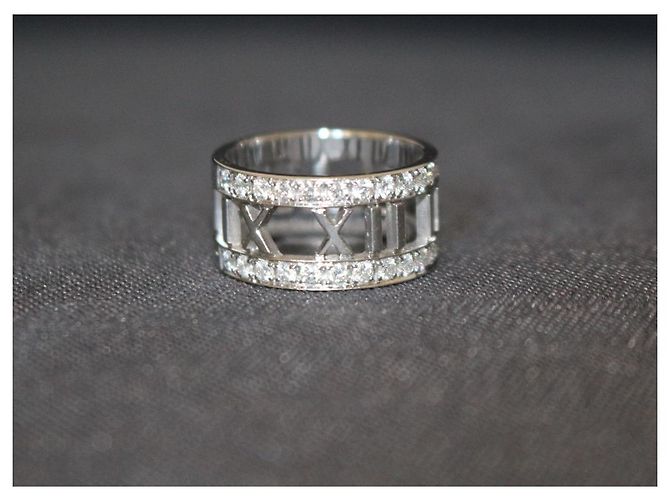 Tiffany & Co Atlas - vista 8