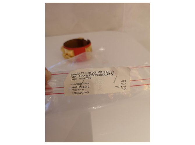 Bracciale con colletto per cani Hermès Arancione Corallo - vista 3