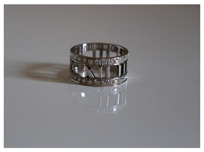 Tiffany & Co Atlas - vista 13